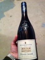 Pinot Noir - Bouchard Aine